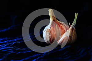 A single garlic torn open against dark blue textile background