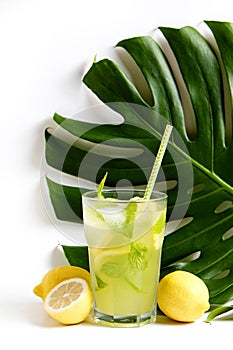 Single glass of iced lemonade with monstera leaf. Studio shot of refreshing non alcoholic mojito drink with lemon slices, mint