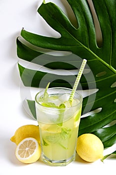 Single glass of iced lemonade with monstera leaf. Studio shot of refreshing non alcoholic mojito drink with lemon slices, mint