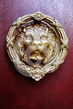 Brass Lion Head Door Knocker