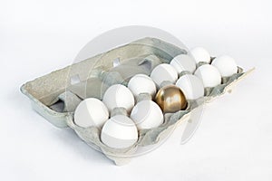 Single Golden Egg in Carton of White Eggs