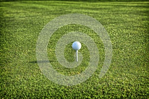 Single golf ball balanced on a white tee, with lush green grass at the tee box