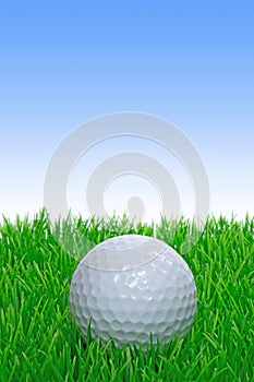 A single golf ball on grass
