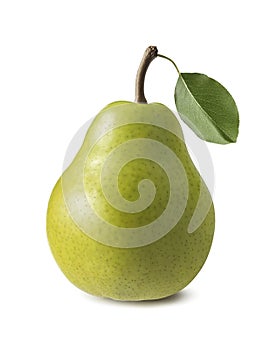 Single green anjou pear isolated on white background