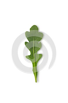 Single green arugula leave isolated on white background, top view