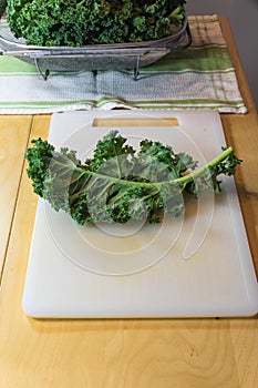 Single green curly kale leaf on a white cutting board