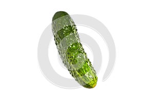 Green fresh gherkin isolated on white background