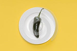 Single green jalapeno pepper on plate