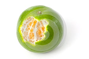 Single green Mandarin orange