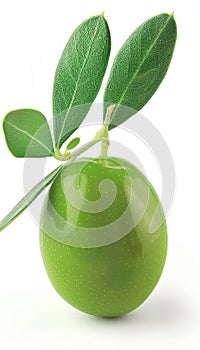 Single green olive fruit isolated on white background for optimal visibility and clear presentation