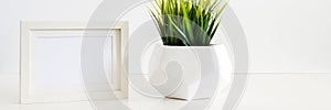 A single green plant against a blank white wall. Mockup frame. Grass in a geometric pot. An isolated object.