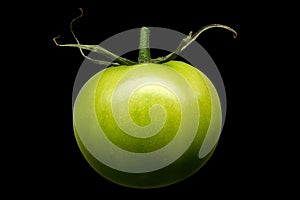 Single green tomato isolated on black background