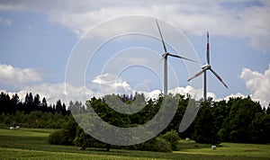 single green tree in the foreground, in front of a wood, in the background 2 wind turbines