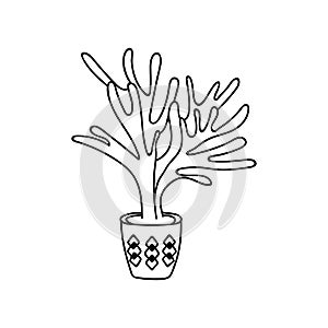 Single hand drawn platycerium. Vector illustration in doodle style