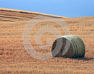 Single Hay Bale in a Field under a Blue Sky