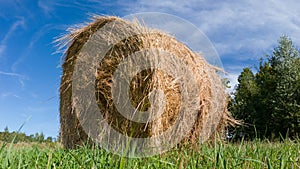 Single hay roll bale in field during sunny summer day, cattle fodder over winter time