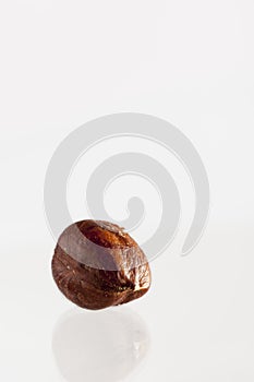 Single hazelnut on white