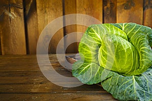 Single head of fresh green pointed sweetheart cabbage