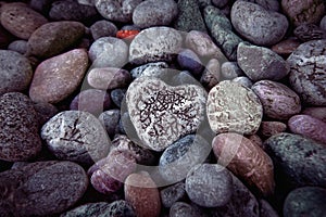 Single heart on black pebble stones