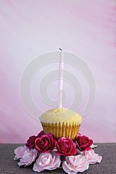 Single homemade vanilla cup cake on layers of paper flowers