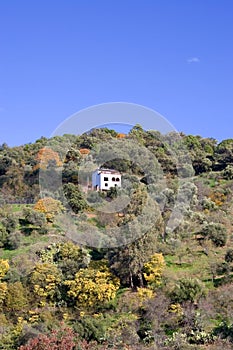 Single house on the side of a hill