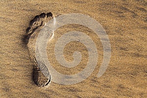 Single human barefoot footprint of left foot in brown yellow sand beach background, summer vacation or climate change concept