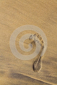 Single human barefoot footprint of right foot in brown yellow sand beach background, summer vacation or climate change concept