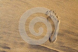 Single human barefoot footprint of right foot in brown yellow sand beach background, summer vacation or climate change concept