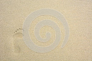 Single human footprint on the beach sand