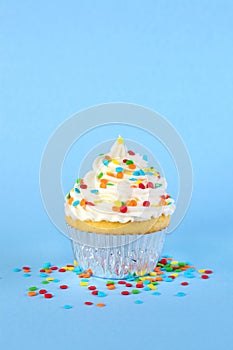 Single iced cupcake