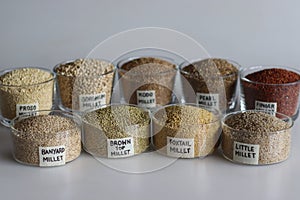 A single image showing all the nine millets
