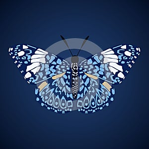 Single isolated colored butterfly Hamadryas blue cracker on a black and blue background.