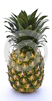 Single isolated pineapple