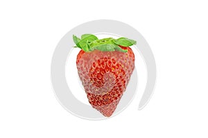 Single isolated ripe red strawberry on white background ready for cutting out with magic wand selection