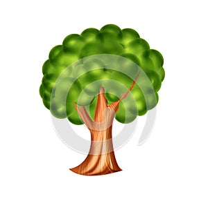 Single isolated tree illustration on white