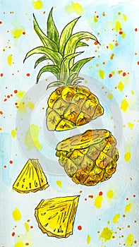 A single juicy pineapple is a watercolor illustration of a tropical fruit.