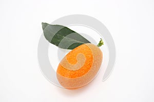 Single kumquat