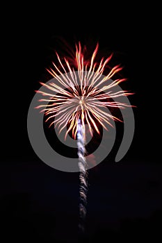 Single Large Firework Sky Black Background. Fireworks.  Copy Space.