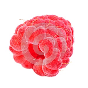 Single large raspberry macro
