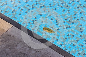 Single leaf floating in the pool with crystal clear blue water. Pool reflection concept.