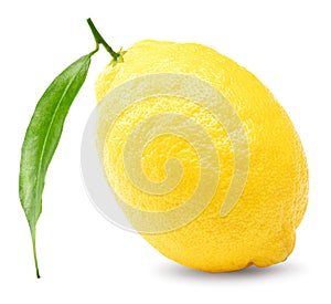 single lemon with green leaves isolated on white background. clipping path