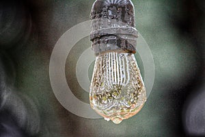 Single light bulb