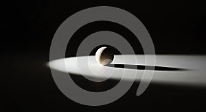 Dramatic Spotlight on a Single Egg