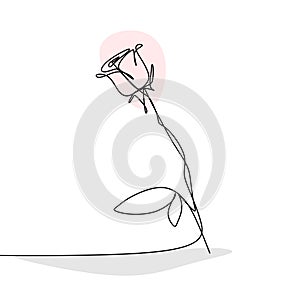 single line drawing of rose flower vector illustration hand drawn single lineart style minimalism background for poster home