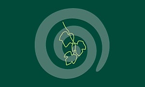 Single lines art leaf grape green  logo symbol vector icon illustration graphic design