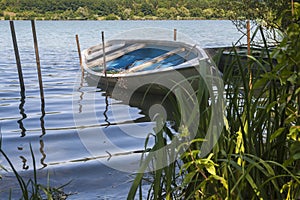 Single little boat with reeds