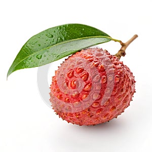 Single Lychee Fruit with Leaf