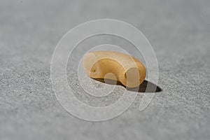 A single macaroni on grey background