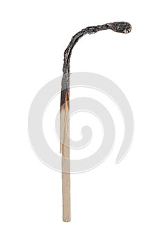 Single match burnt on white background