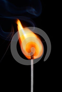 Single match stick burning bright big fire isolated